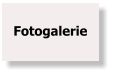 Fotogalerie